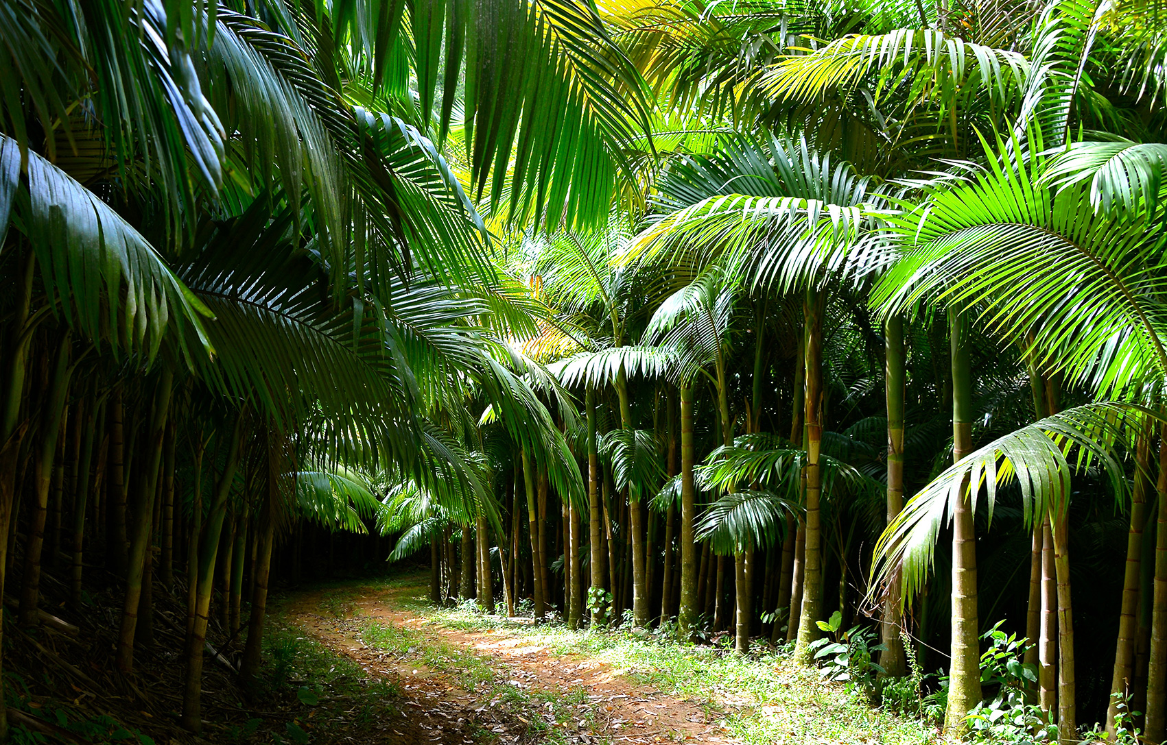 Preservação ambiental Visafértil